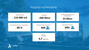 Hippos numeroina-2
